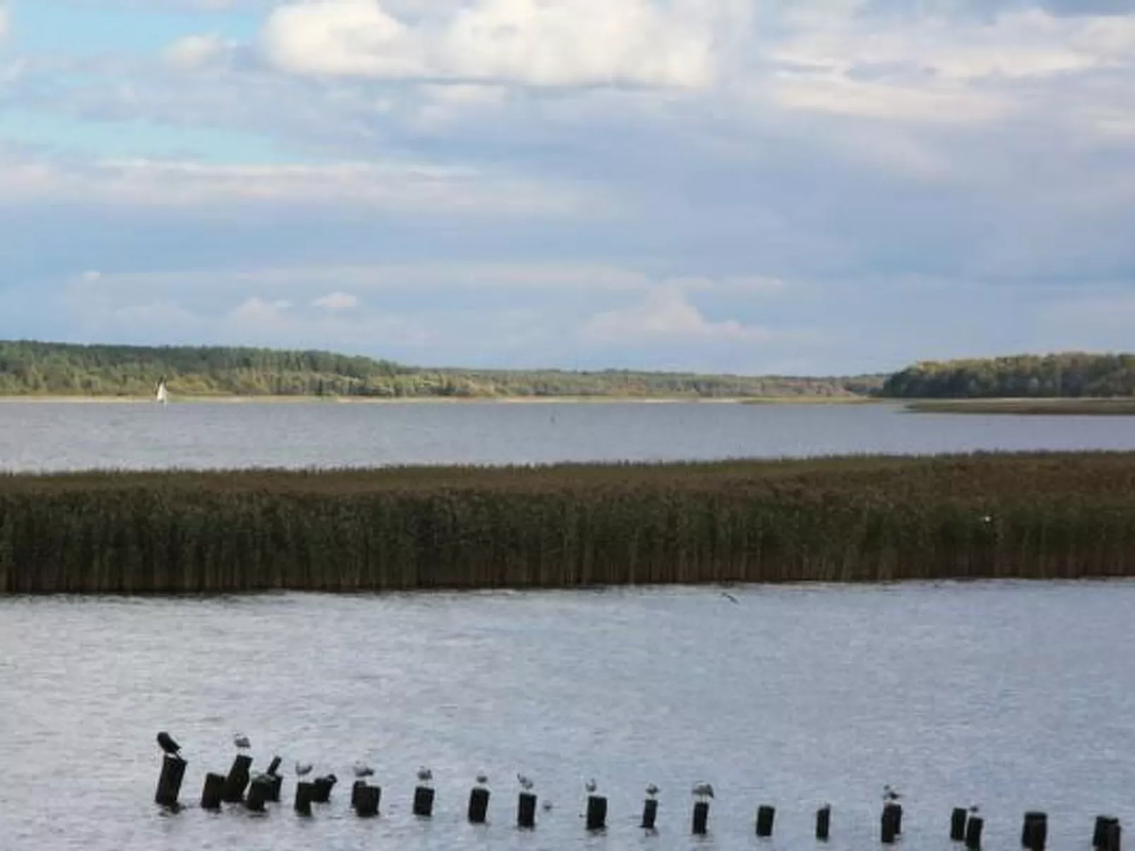 Ferienvilla mit Blick auf das Wasser-Dehors
