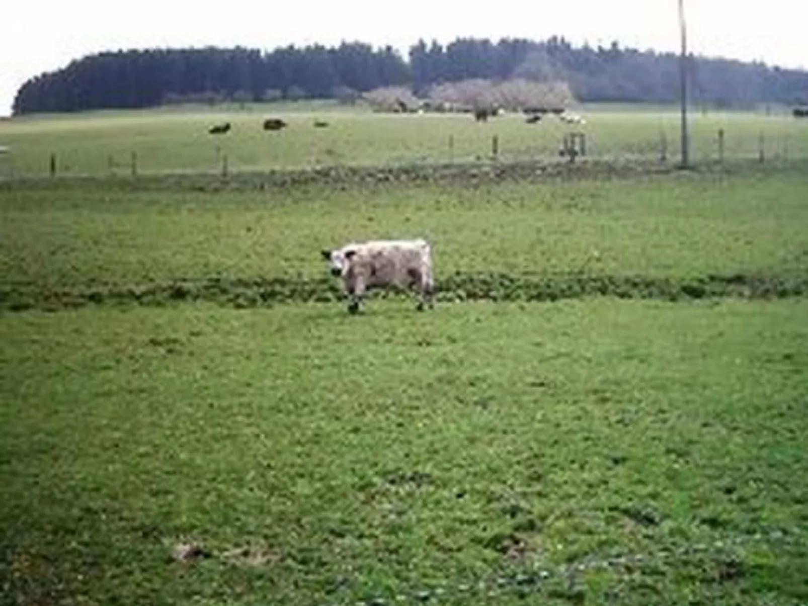 FEWO Juliana-Draußen