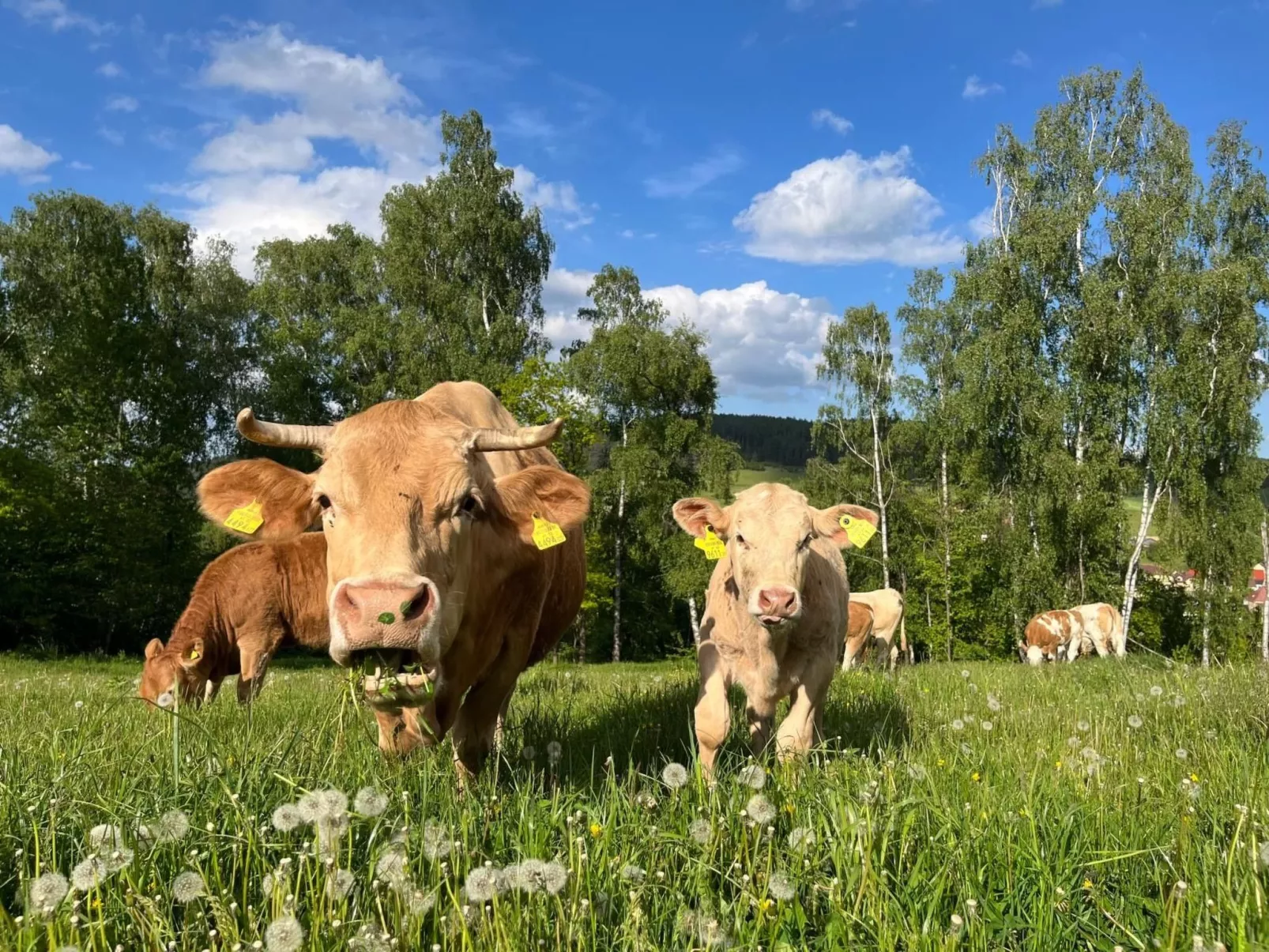 Wandlhof Ferienwohng-Outside