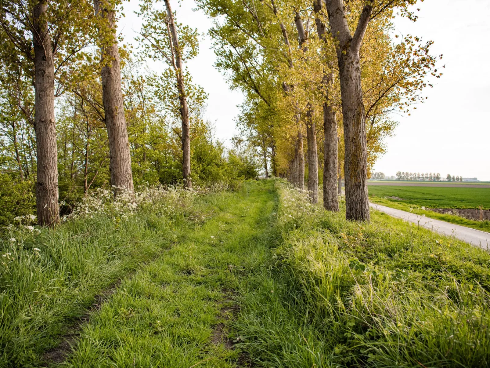 Luxus-App in der Scheune "Strandje groote Nol"-Draußen