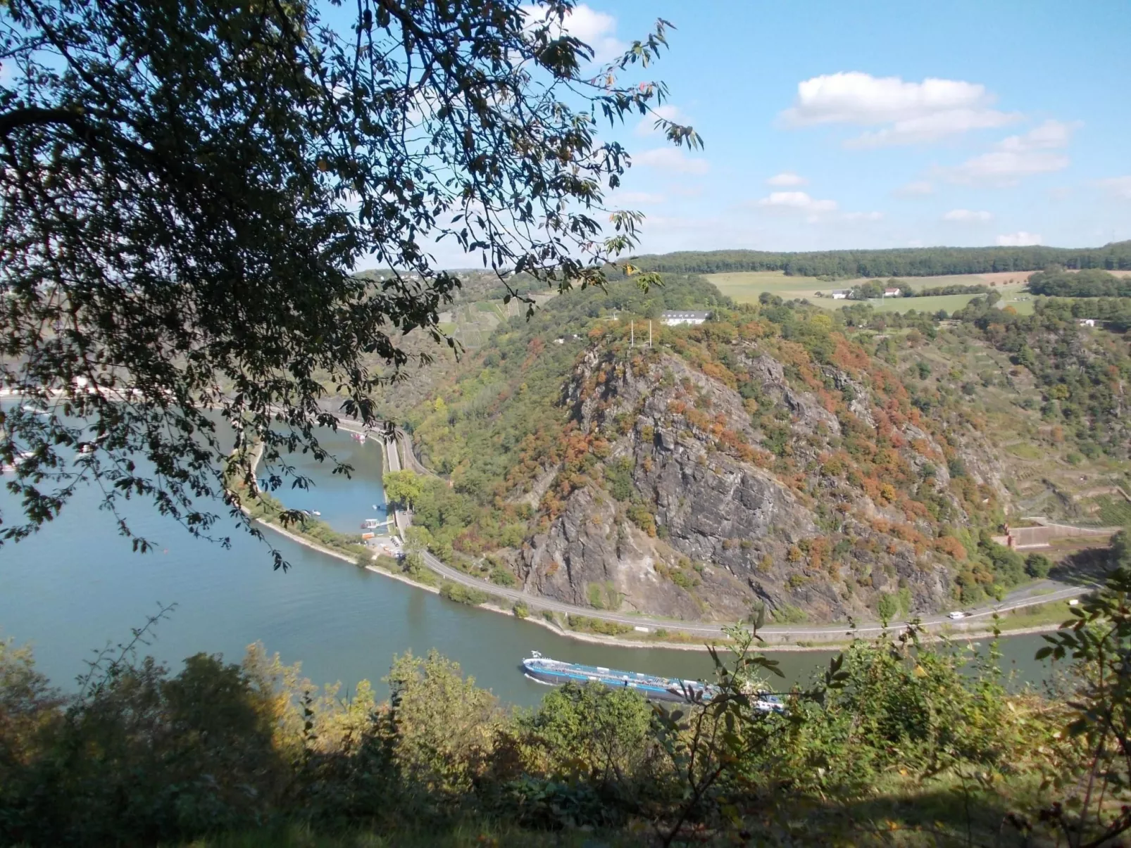 Mit Balkon und Rheinblick-Draußen