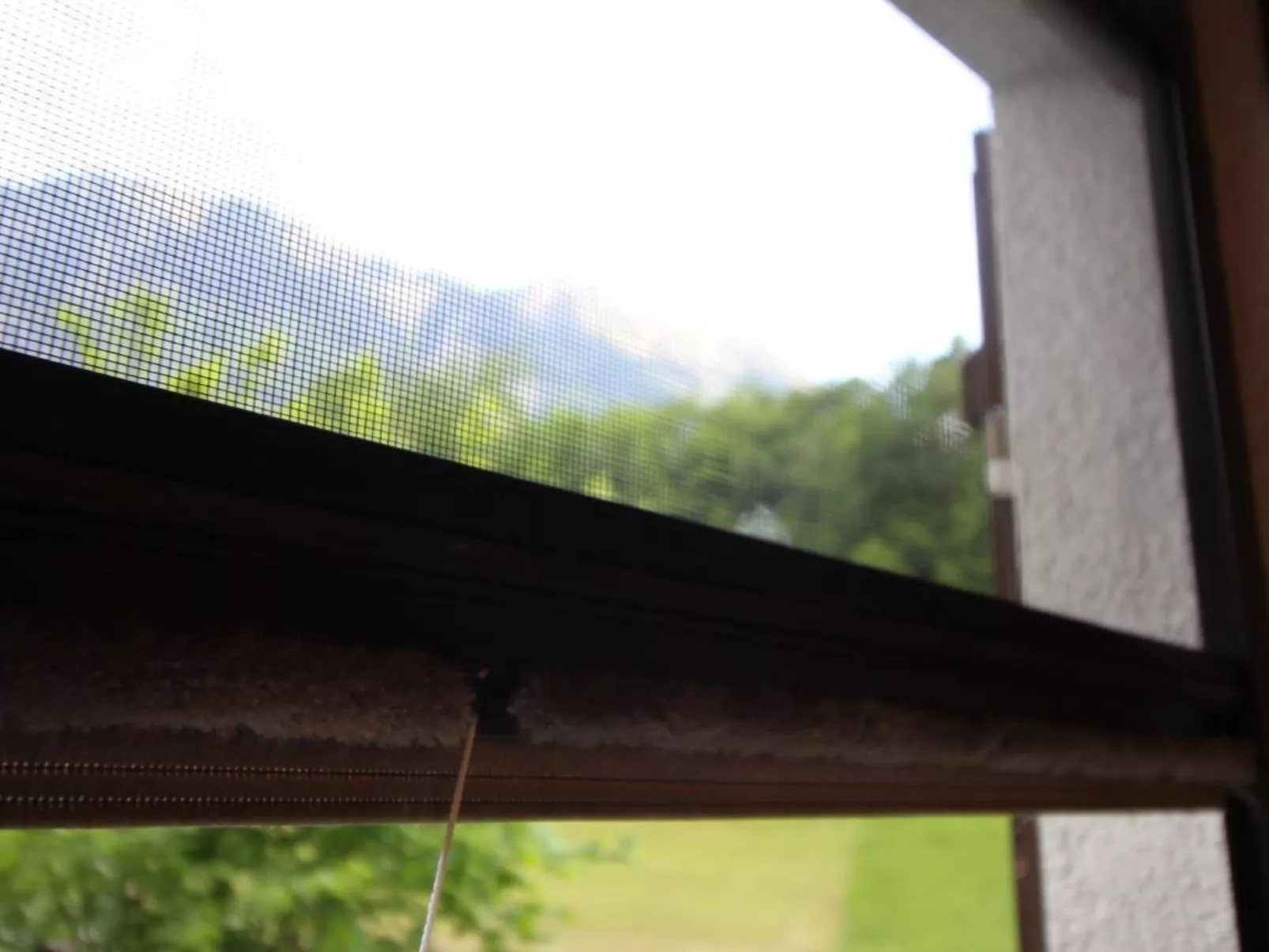 Bemer-Rempfler-Dedans