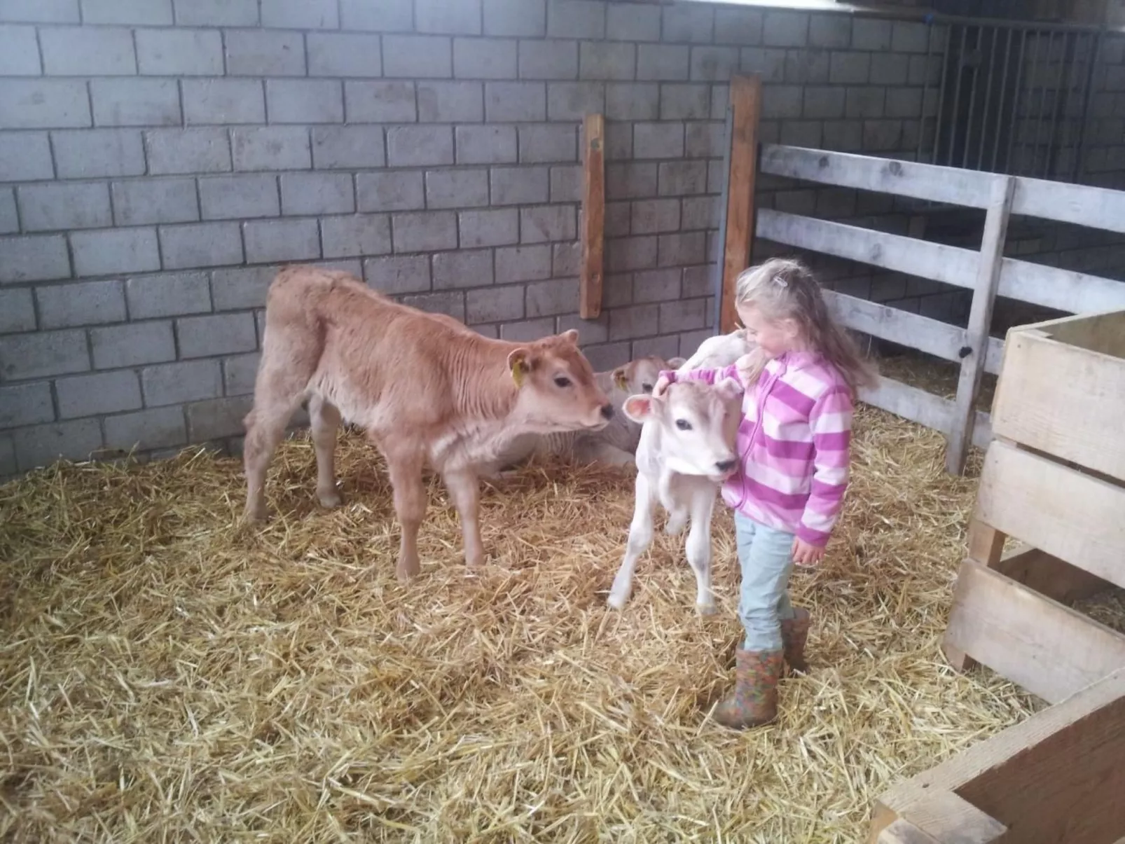 Biala - BioBergün-Image-tags.info