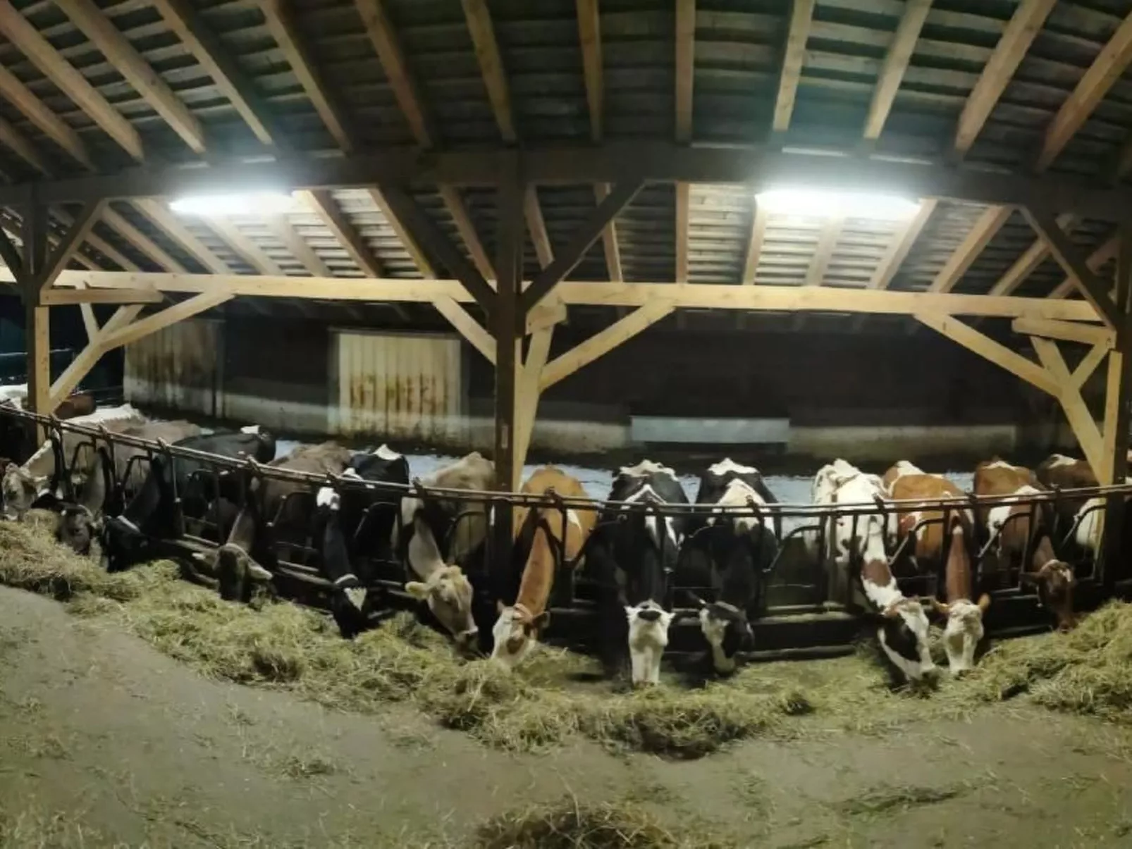 Emmental Ferien-Draußen