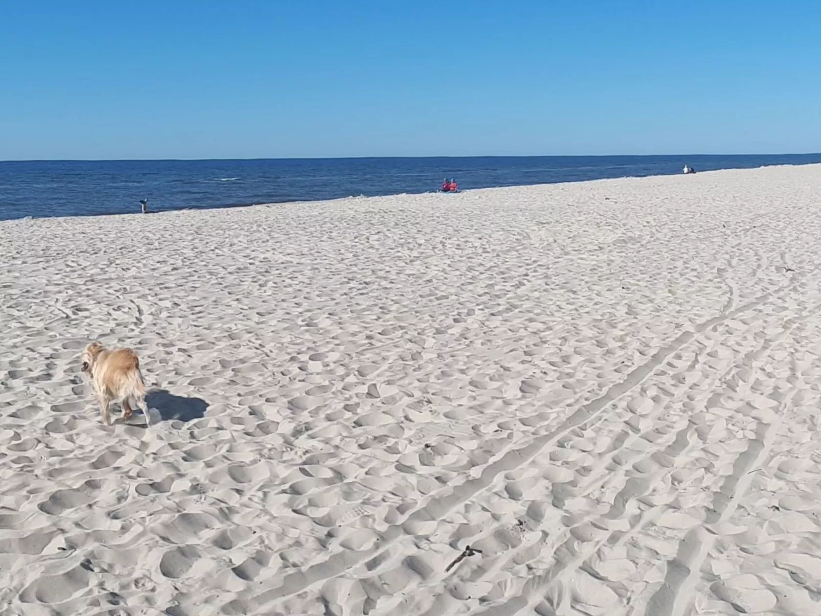 Atelier Wiselka-Draußen