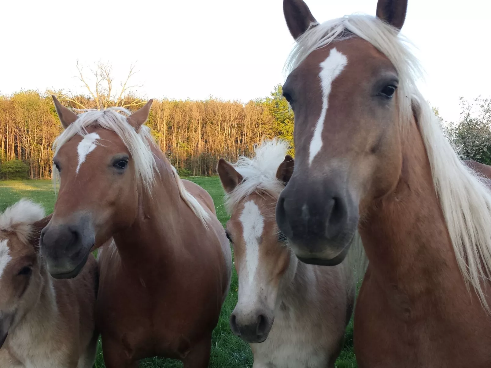 Komfortable Ferienwohnung in Waase-Outside
