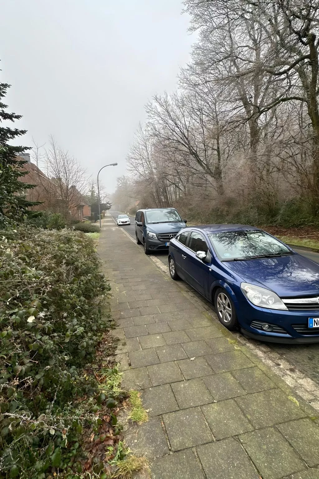 Apartment Am Hang II-Draußen