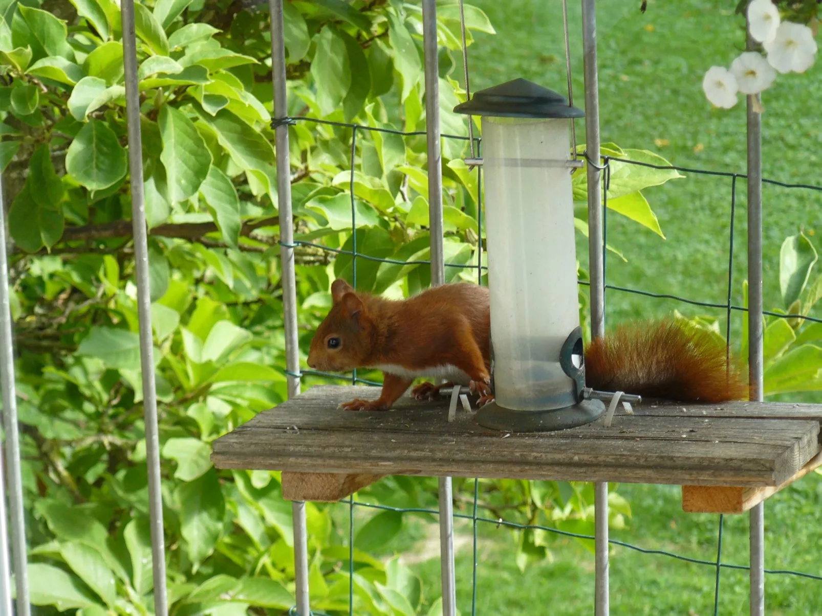 Ahorn Studio in Bad Dürrheim-Outside