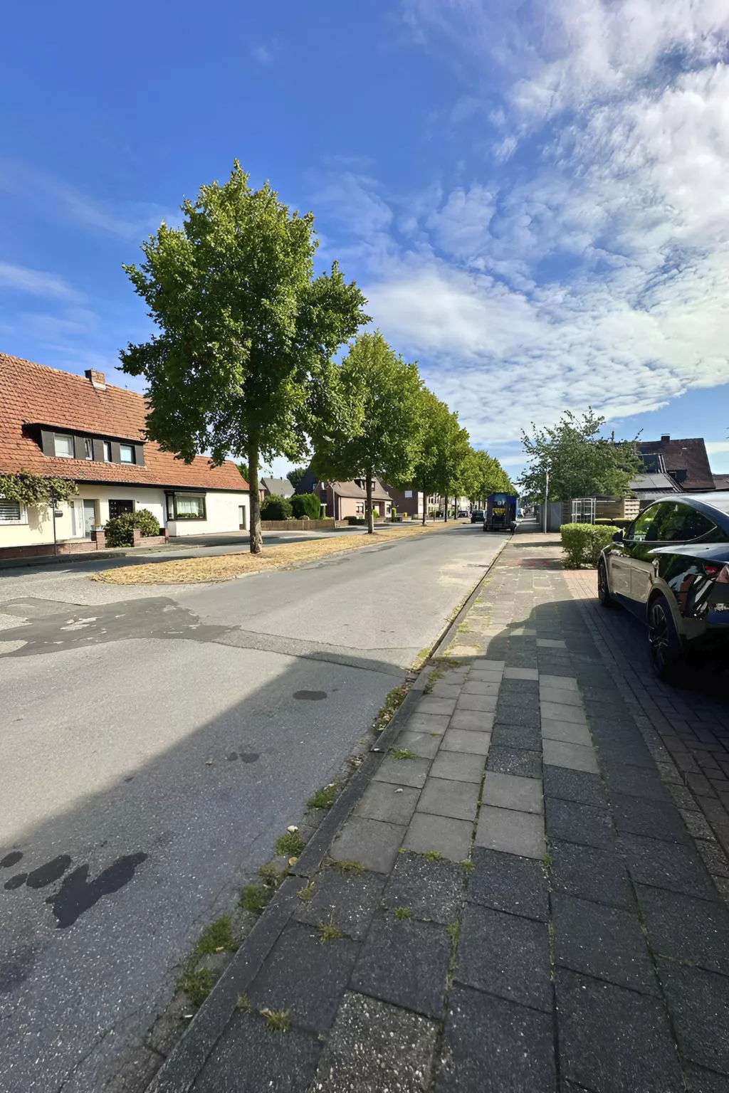 FeWo Lindenallee IV-Draußen