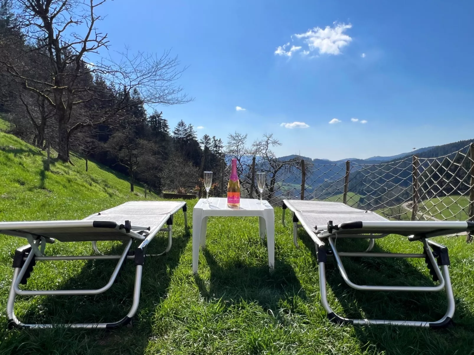 FeWo mit Whirlpool und Fass-Sauna im Schwarzwald-Outside