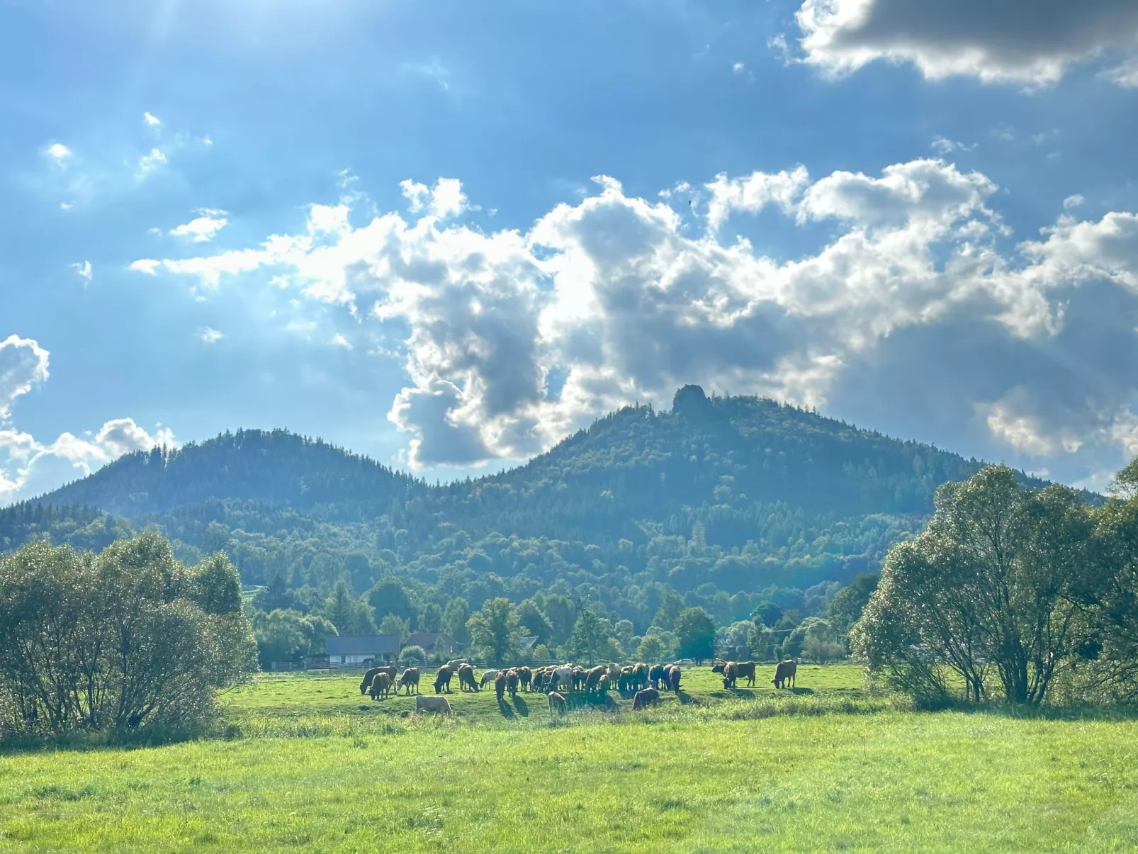 Für eine Familie mit Kindern-Dehors