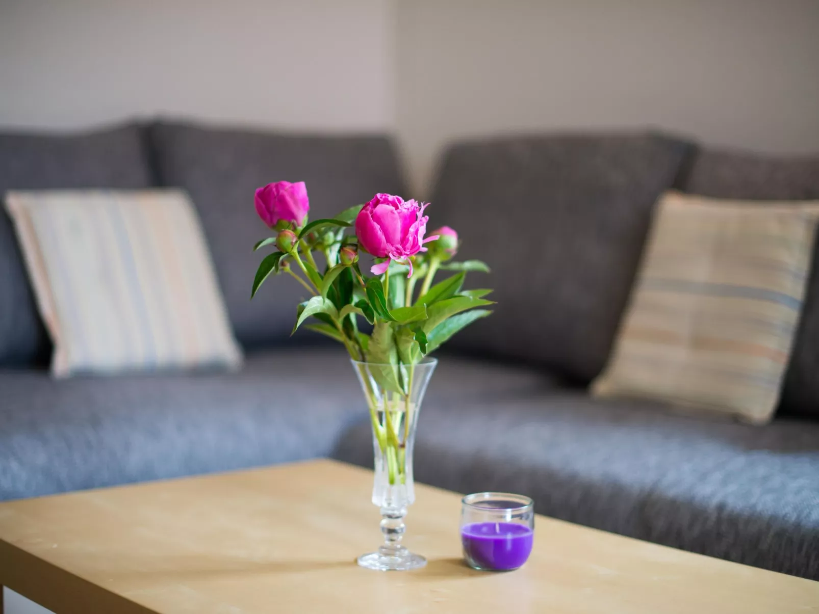 Appartement in Zasip mit Möblierter Terrasse-Drinnen