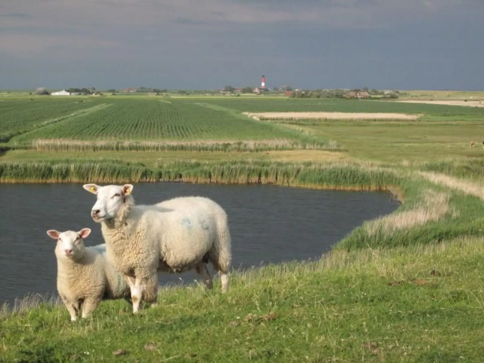 Mit Terrasse-Outside