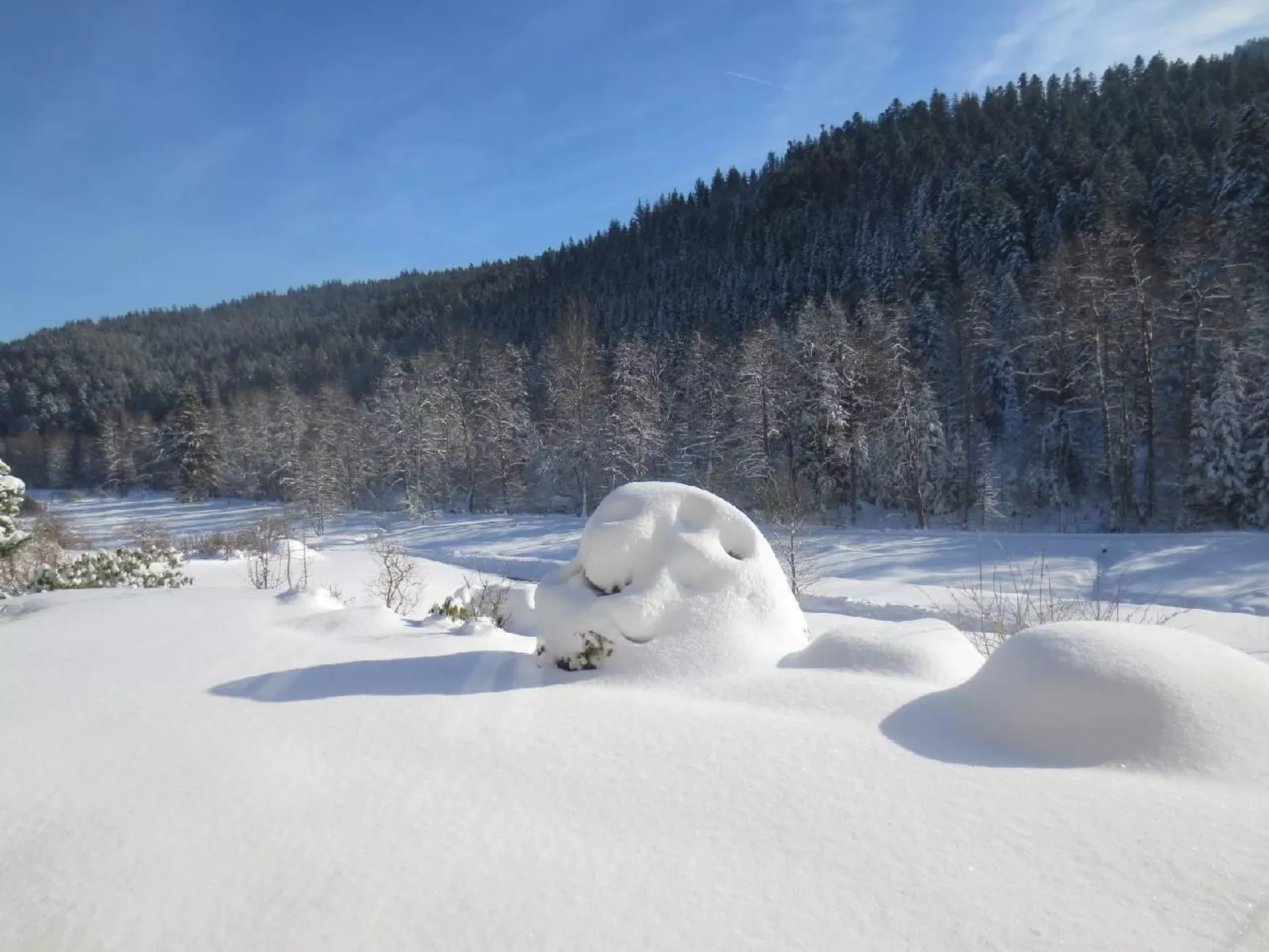 Tauchert-Image-tags.info