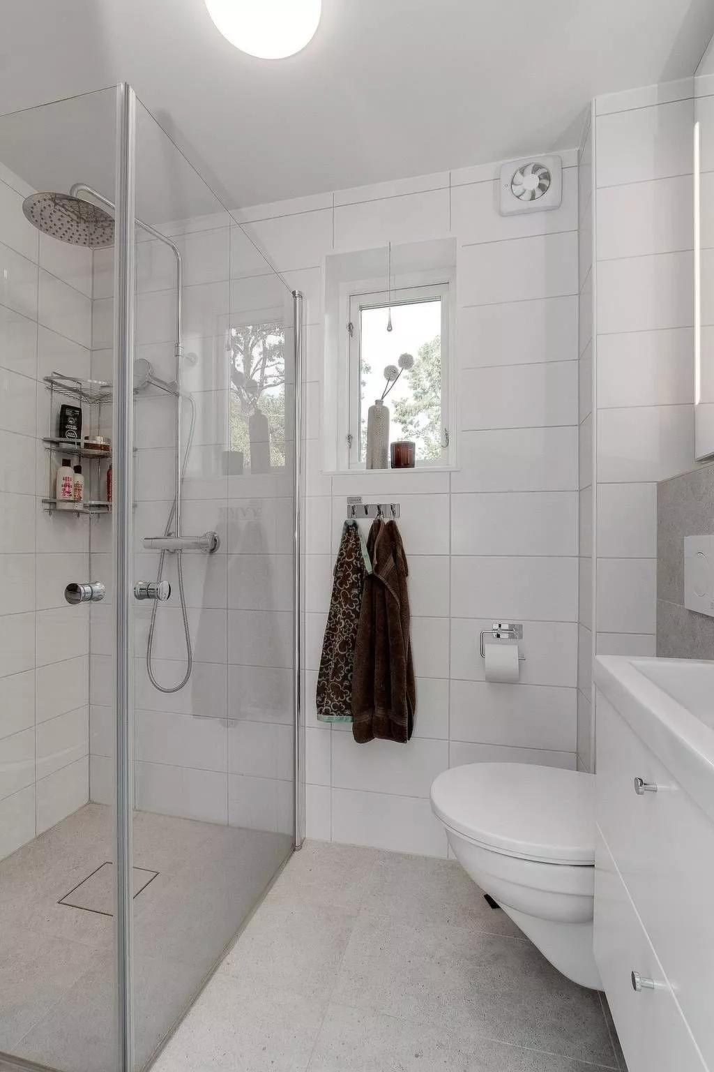 Hjorted am Seeufer-Image-tags.info