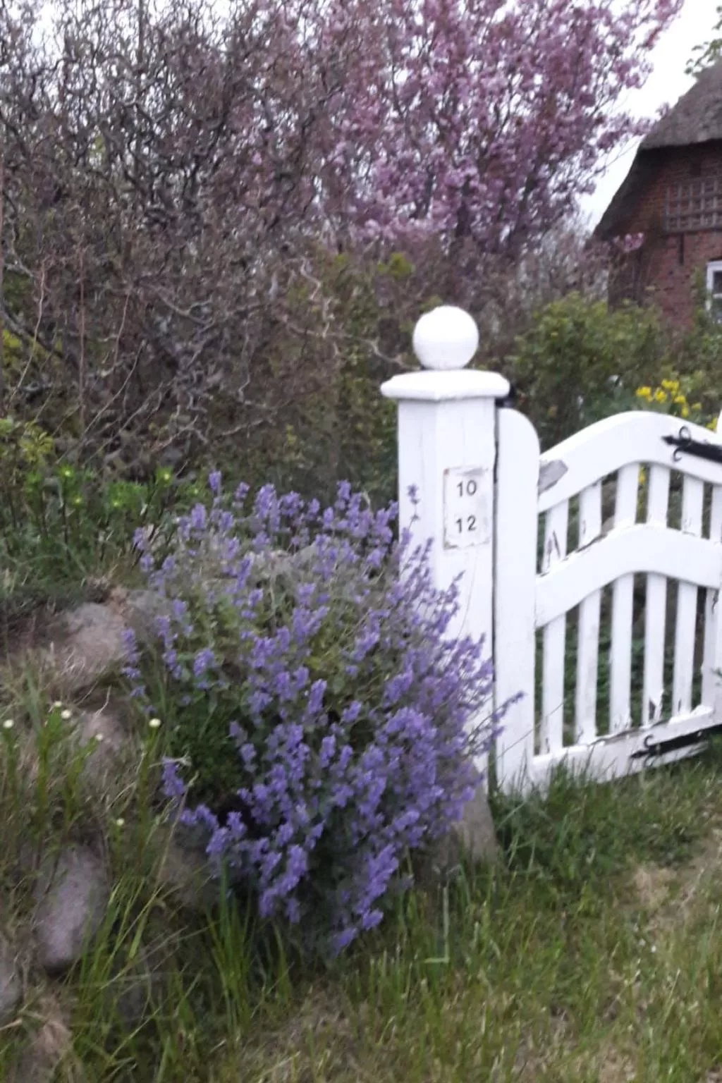 Fewo Meeresbrise-Image-tags.info