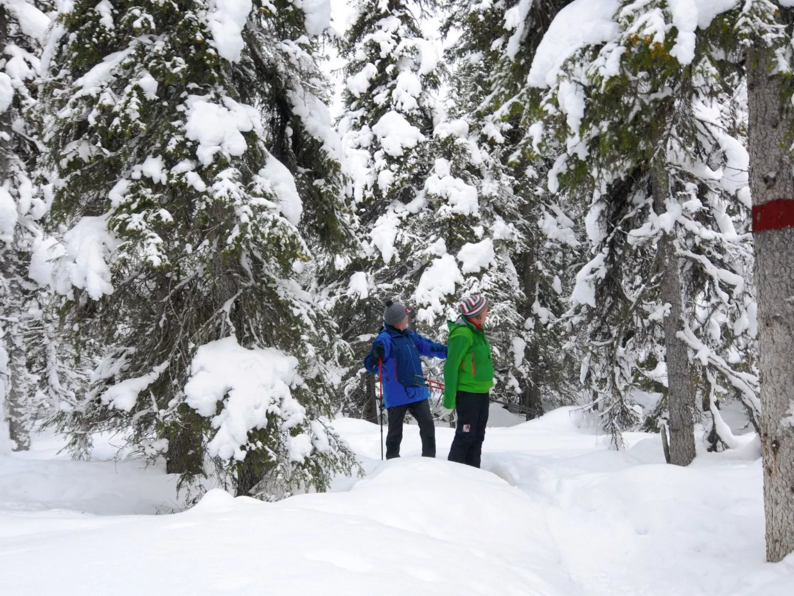 Charmantes modernes Blockhaus mit Kamin-Outside