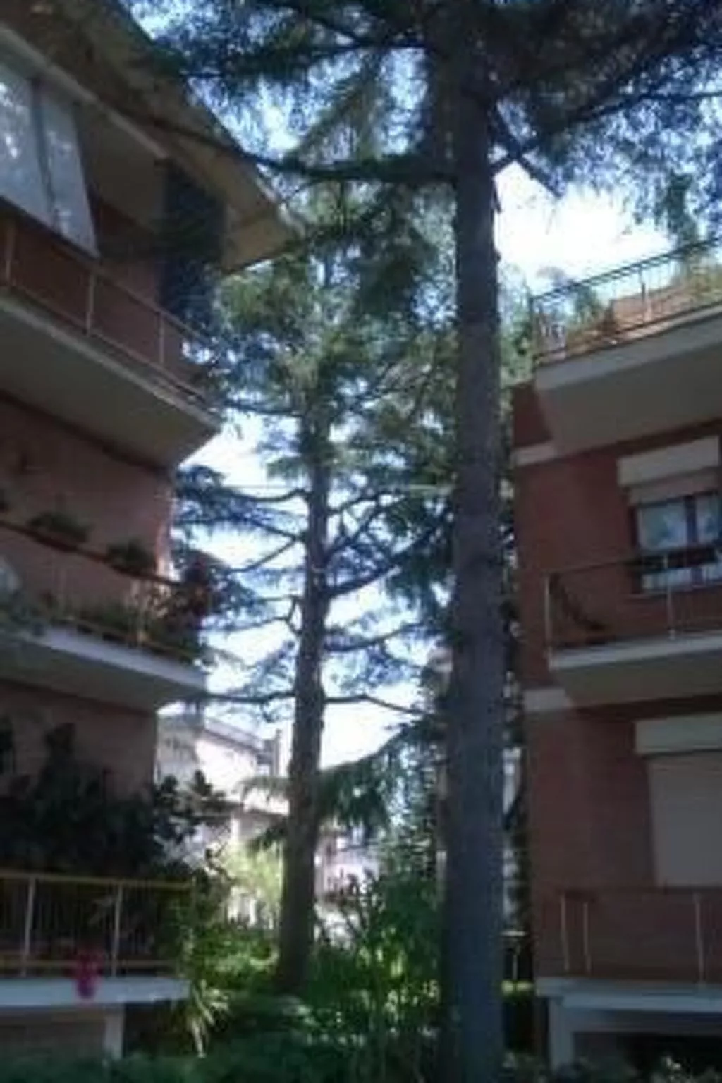 Penthouse mit großer Terrasse-Dehors