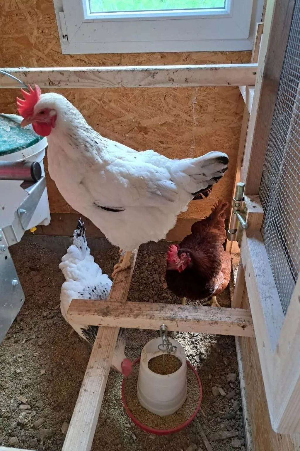 Ferien im Gugger - Wohnung Stockberg-Image-tags.info