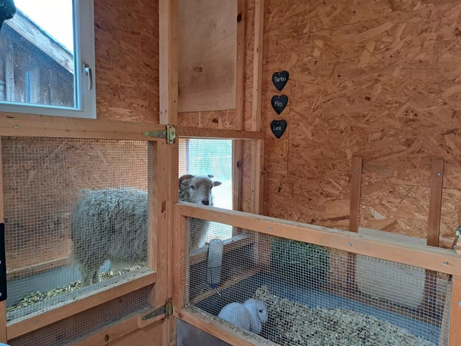 Ferien im Gugger - Wohnung Churfirsten-Image-tags.info