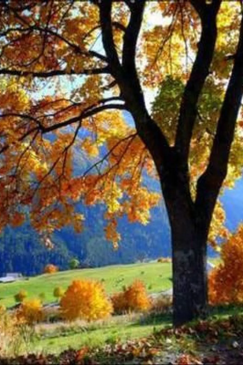 Alte typische Engadinermühle-Draußen