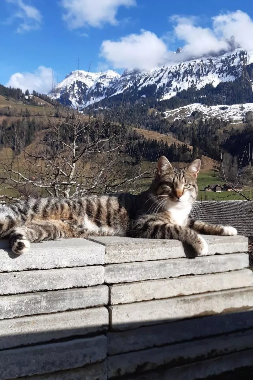 Schwändelifluh-Draußen