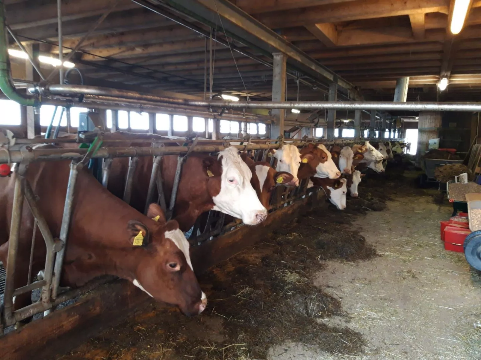 Fewo Wychelboden-Outside