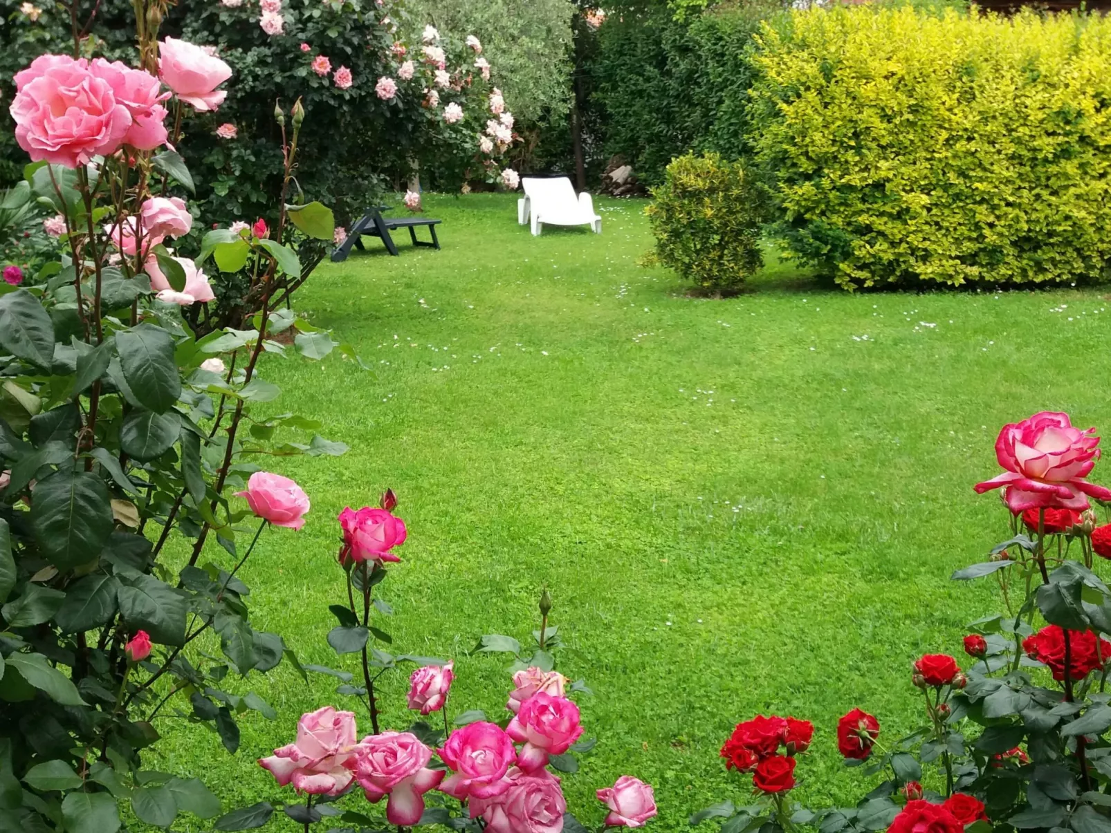 Freistehender Bungalow Perla mit Garten und Grill-Draußen