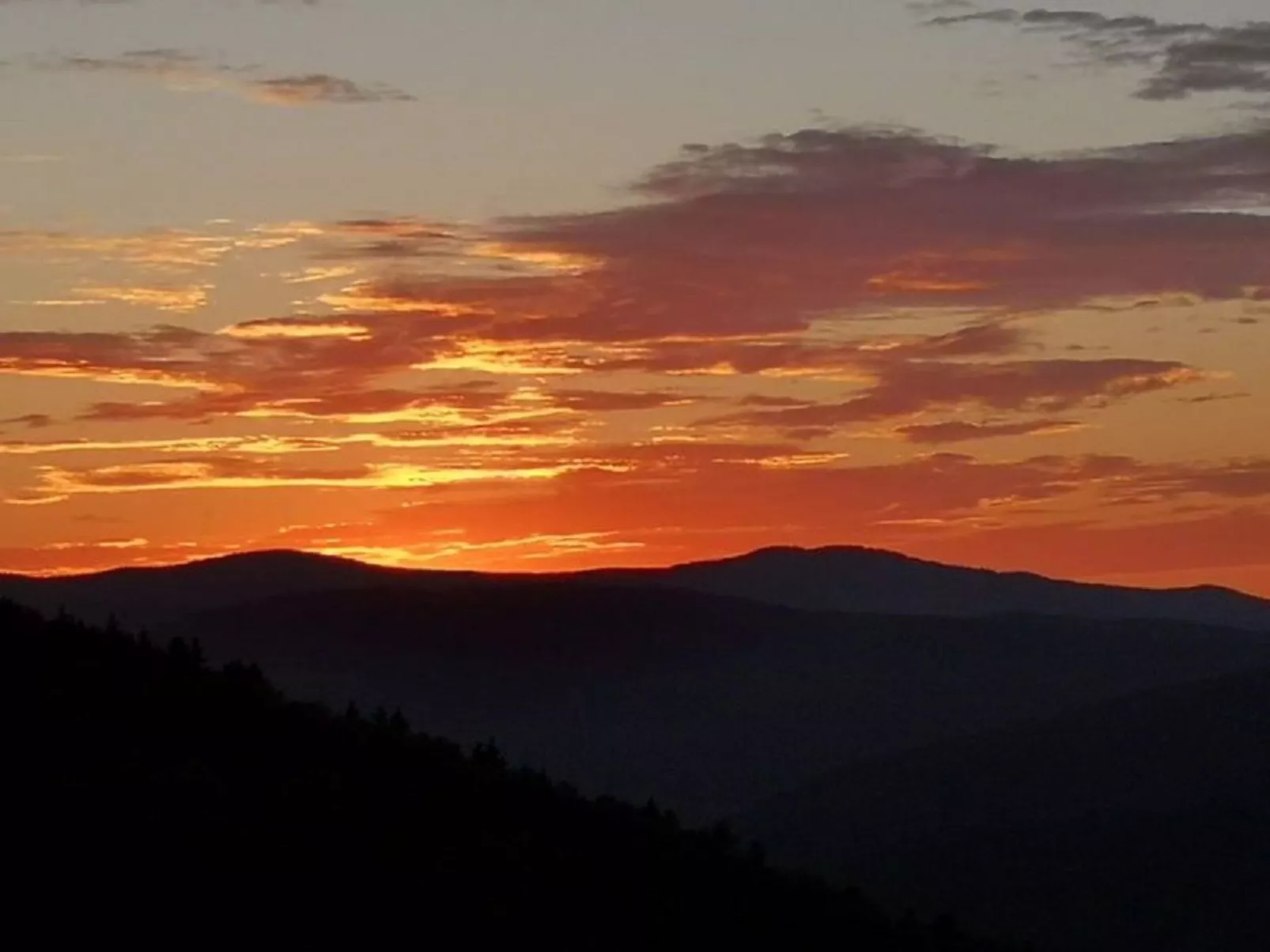 Bayerischer Wald auf 800m Höhe-Willkommen-Dehors