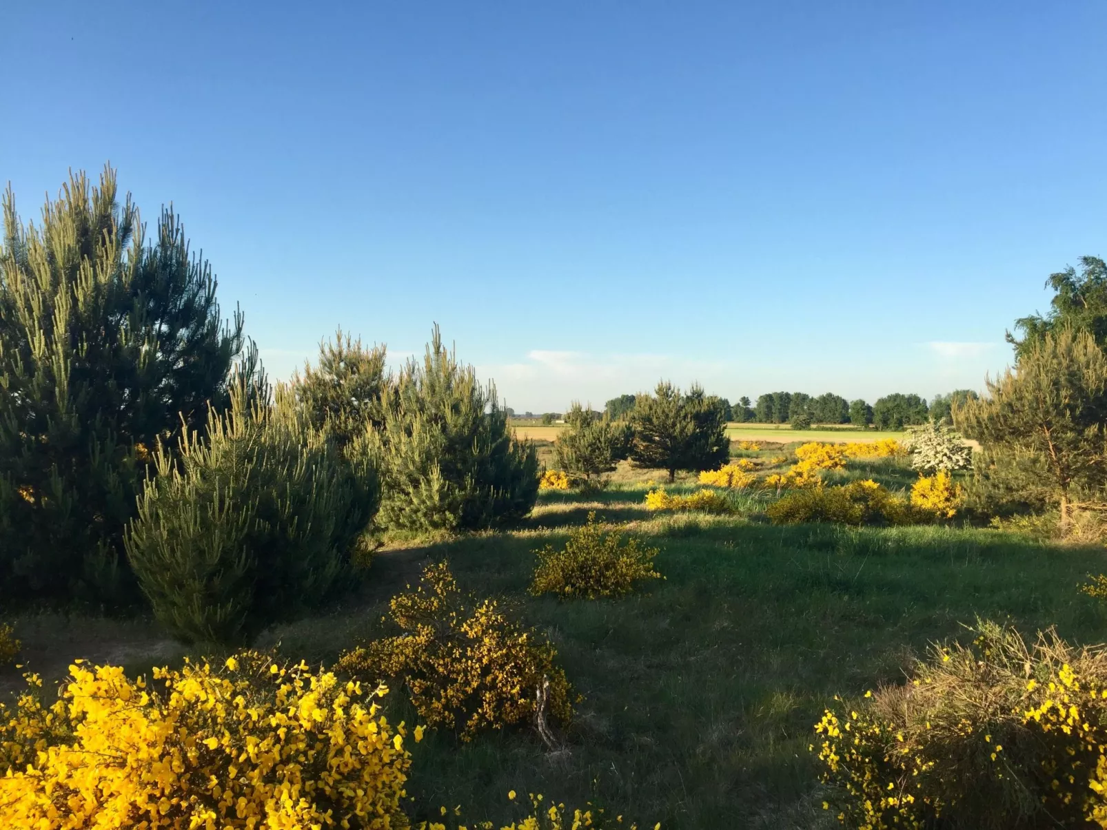 Wiesenblick 6-Outside