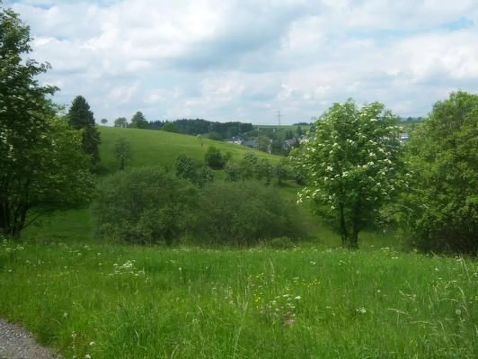 Im Thüringer Wald mit Grill und Garten-Outside