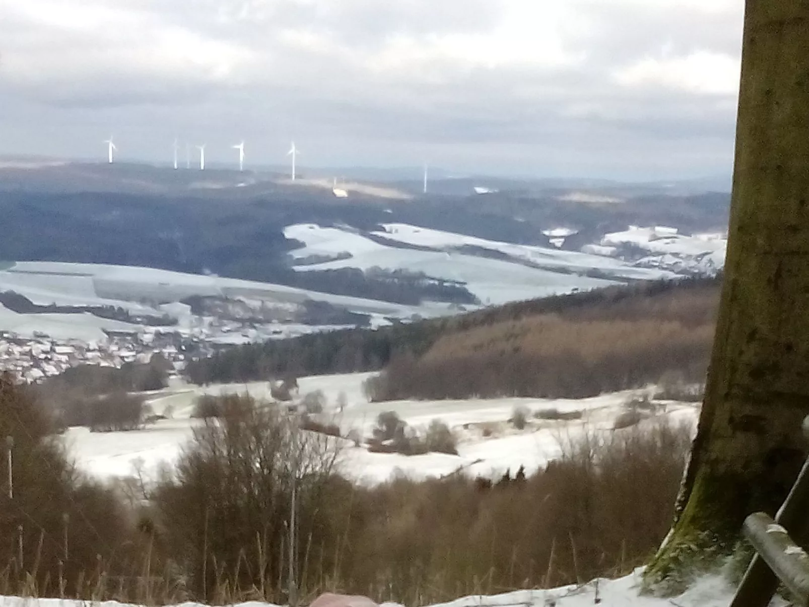 Cat'n'Boots Haus-Draußen