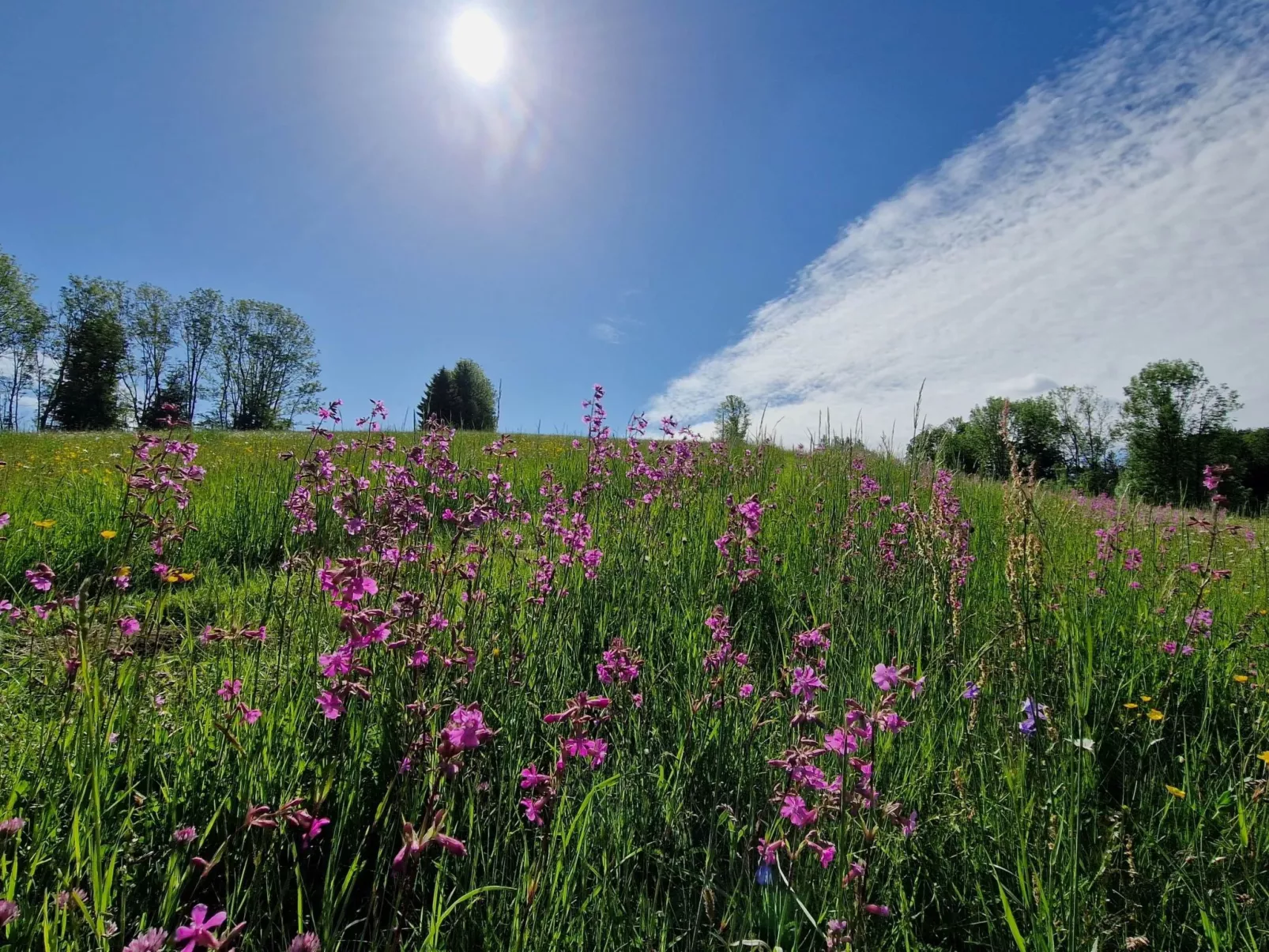  mit Terrasse und zwei Schlafzimmer-Outside