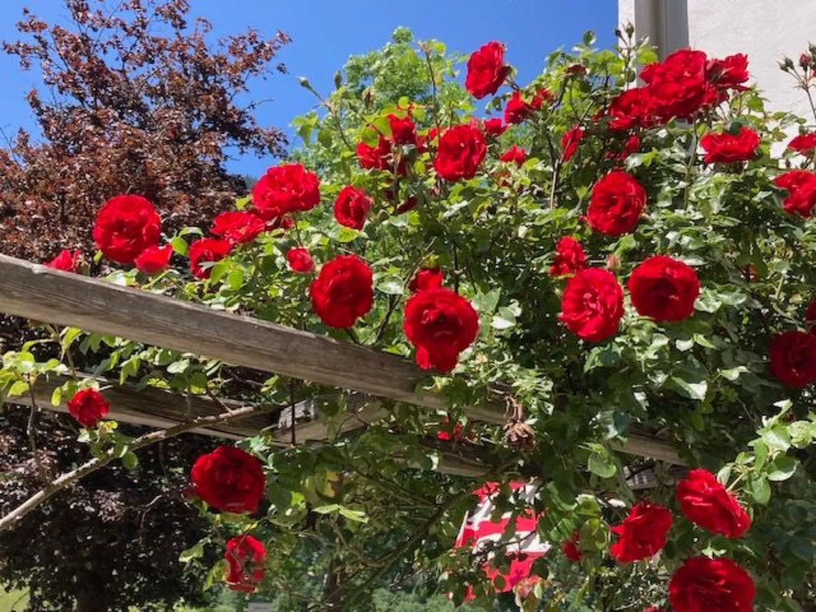 Im Haus Seebrauer in Feld am See-Outside