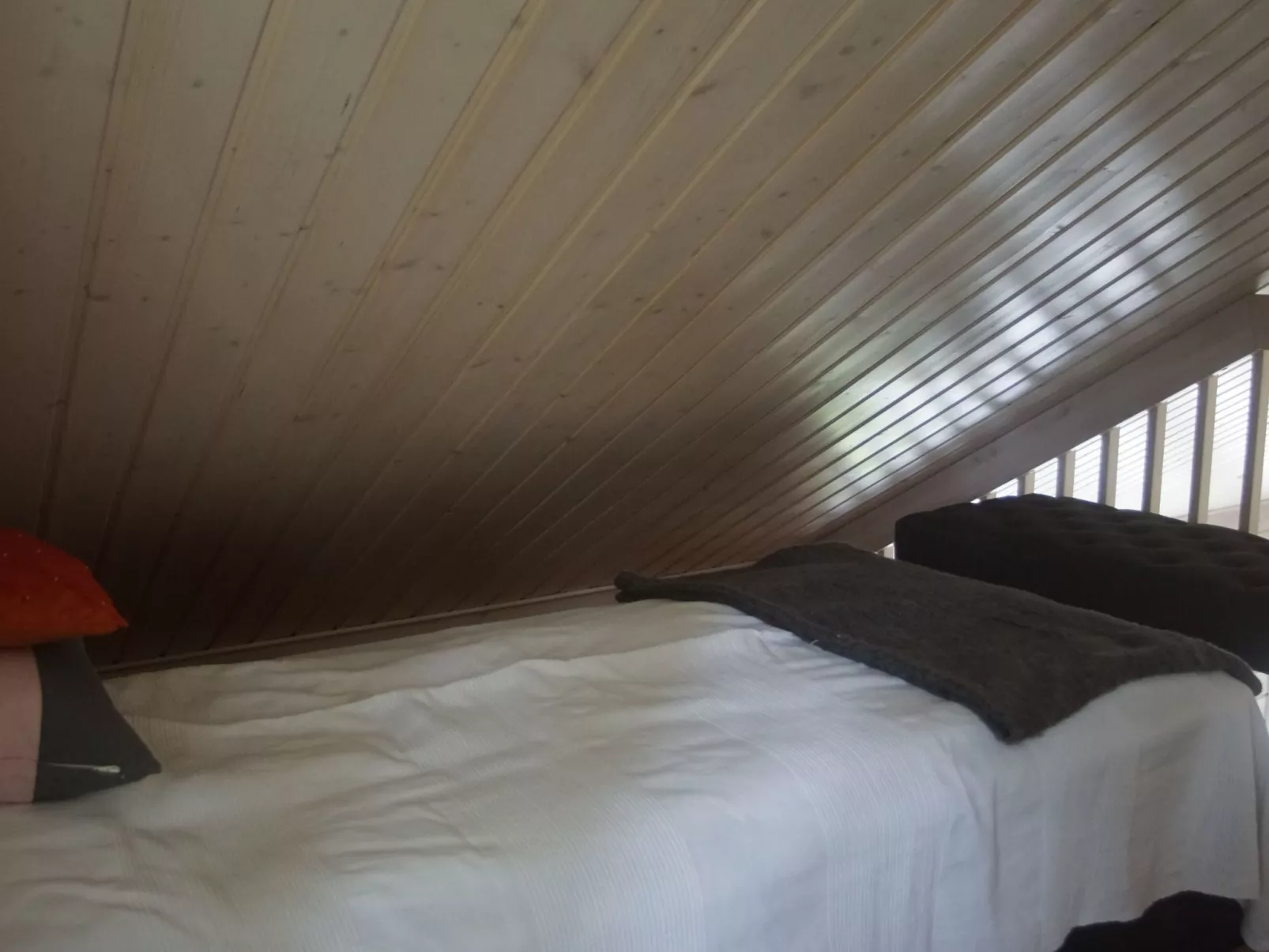 Ferienvilla mit Sauna und Garten am See-Inside