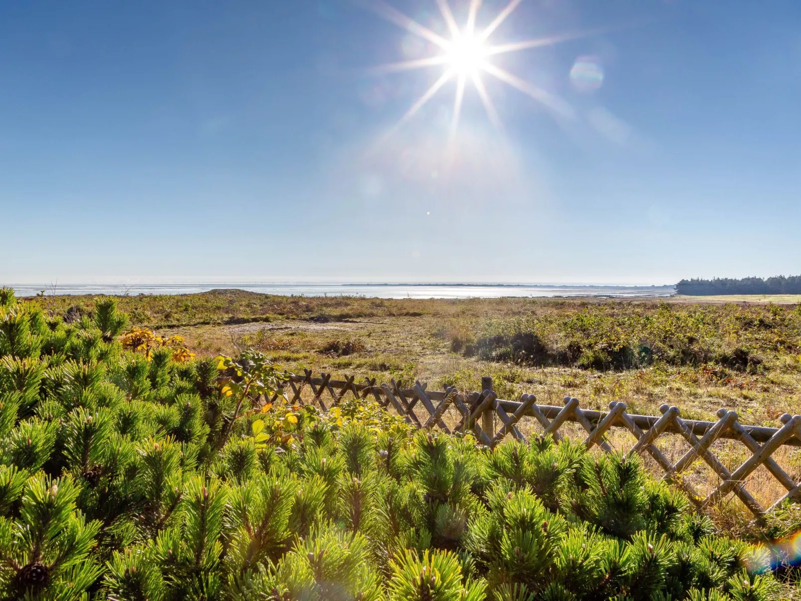 Sönshörn - S8M - in Munkmarsch-Outside