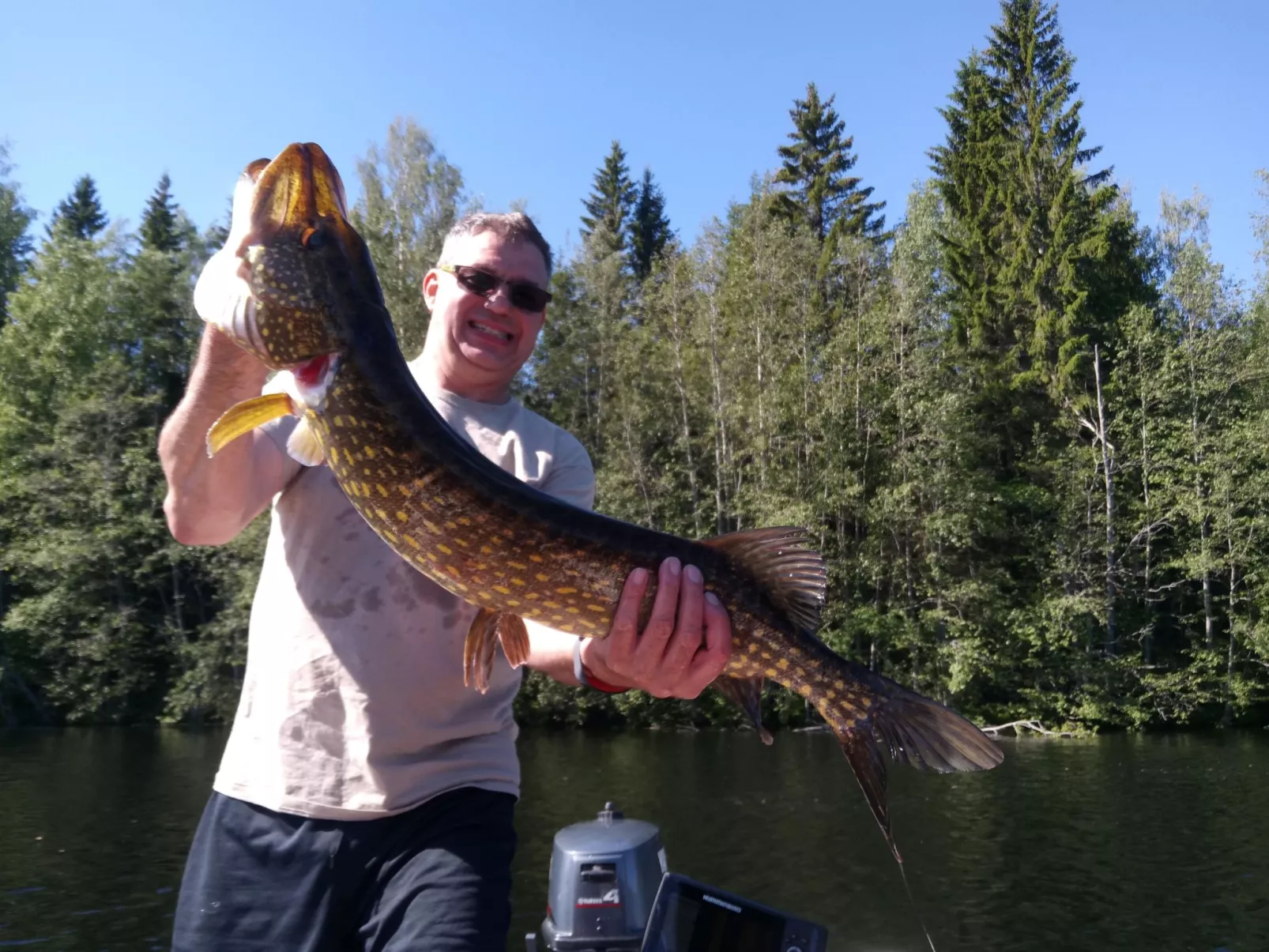 Ferientagheim Hammarstrand-Dehors