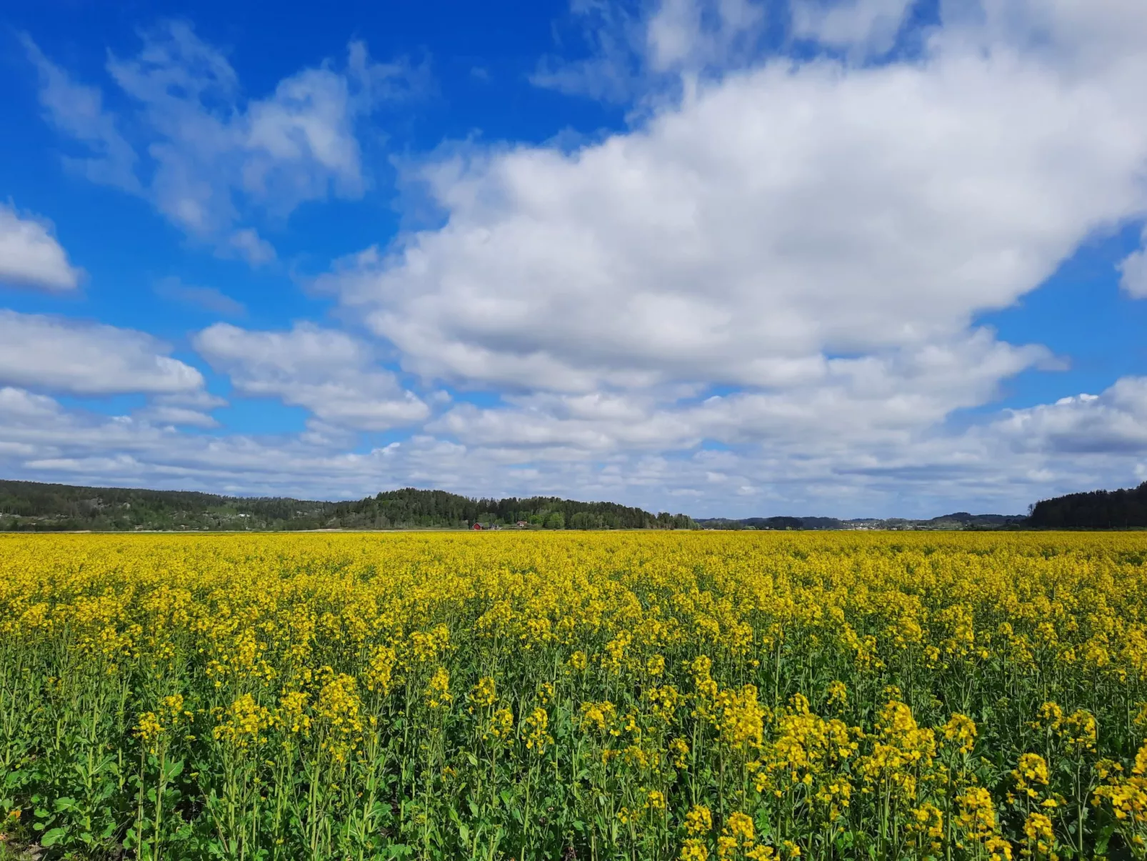 Bauernhaus-Wohnung bei Göta Älv in der Nähe von Göteborg - Image-tags.info