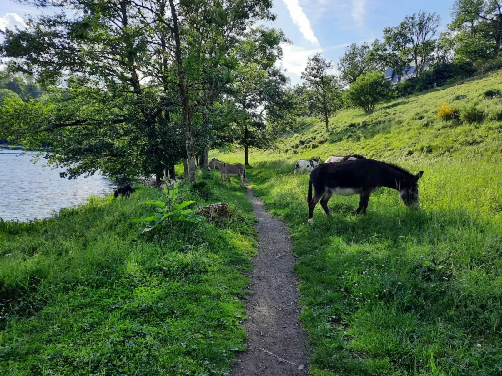 Kleiner Eifeltraum-Draußen