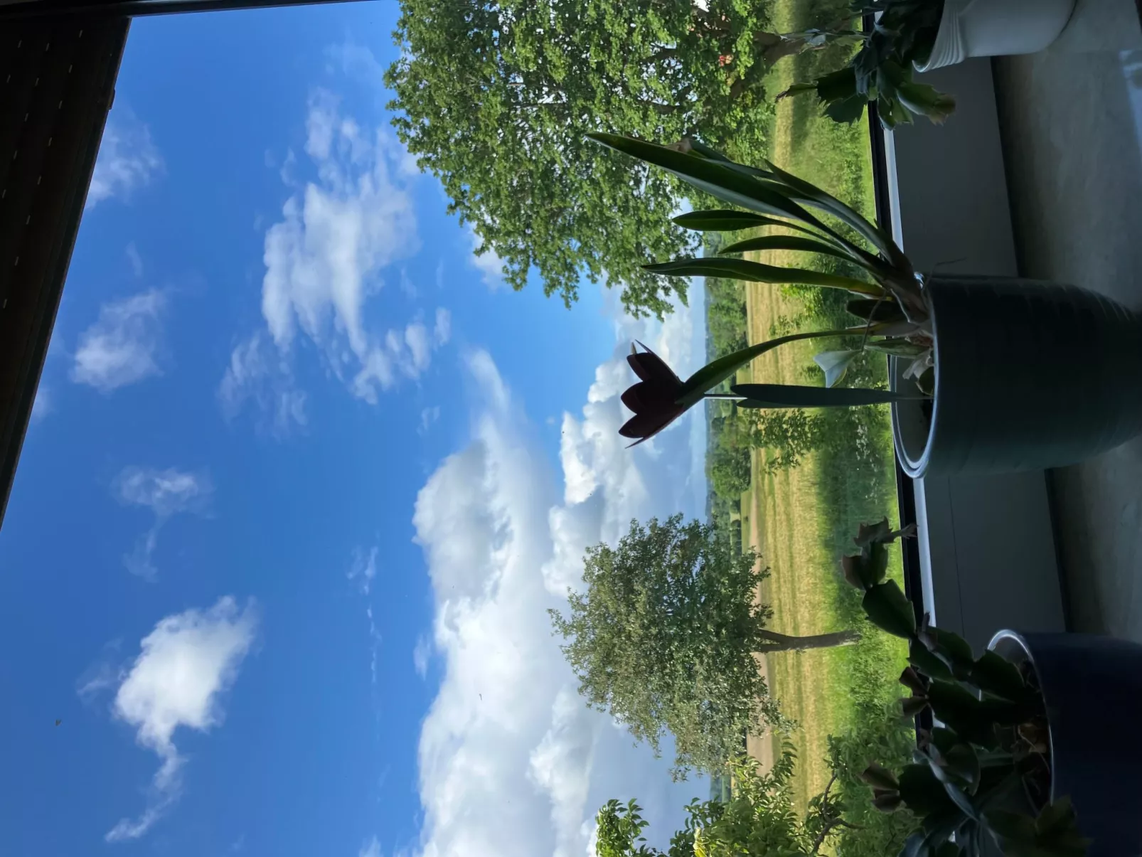 Gemütliche Ferienwohnung in Brodersby-Schönhagen-Outside