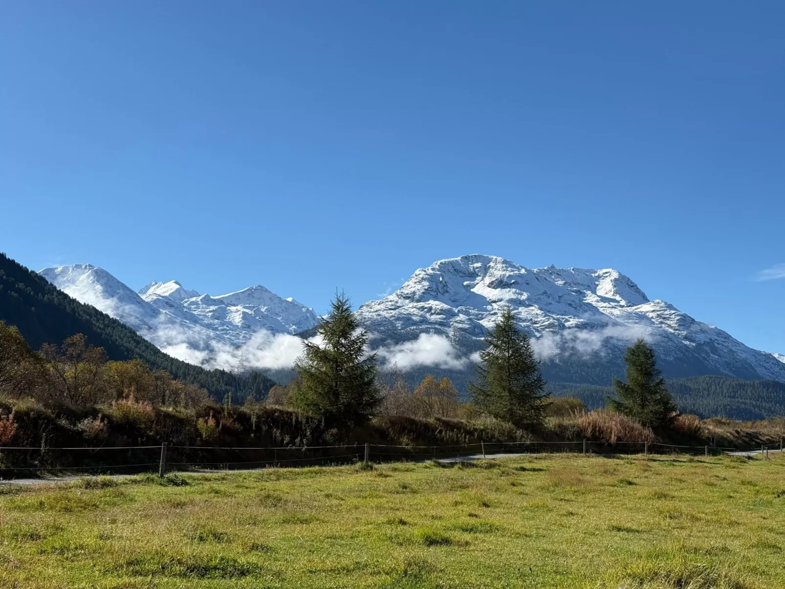 Chesa Robinson-Outside