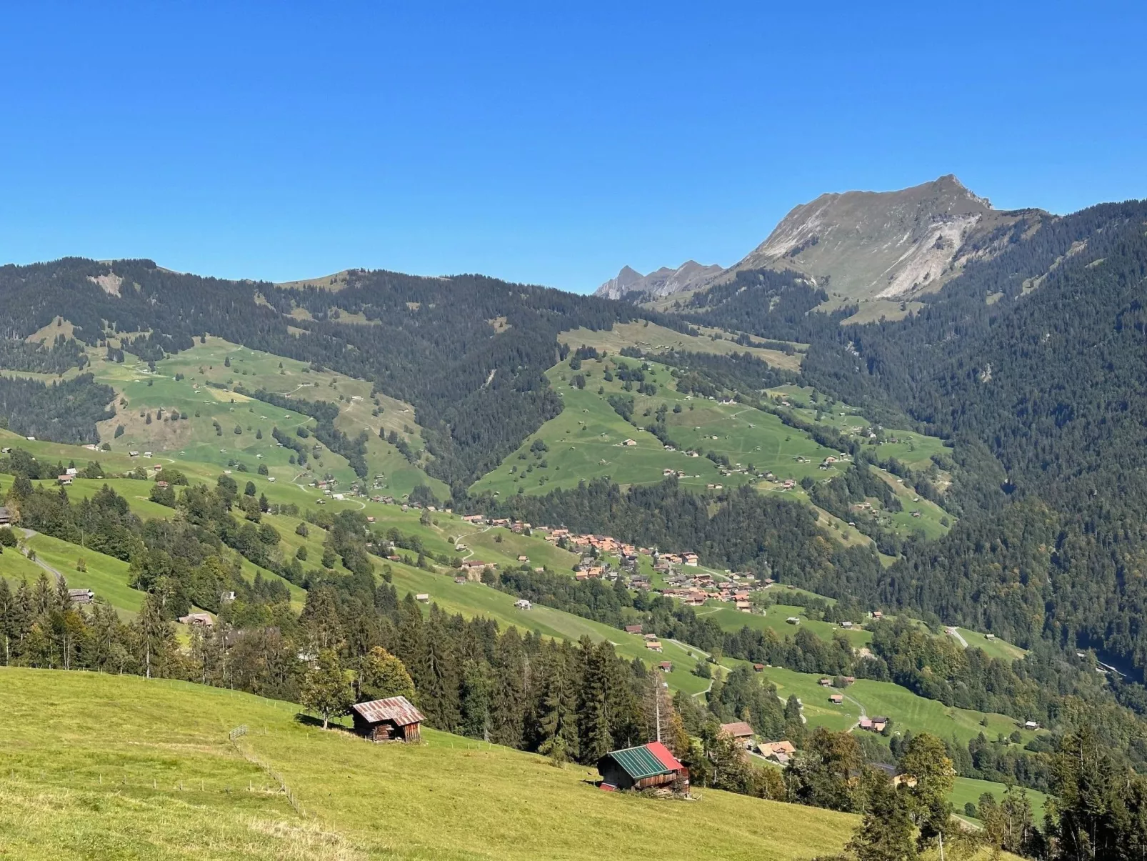 Wohnung Niesenblick-Dehors