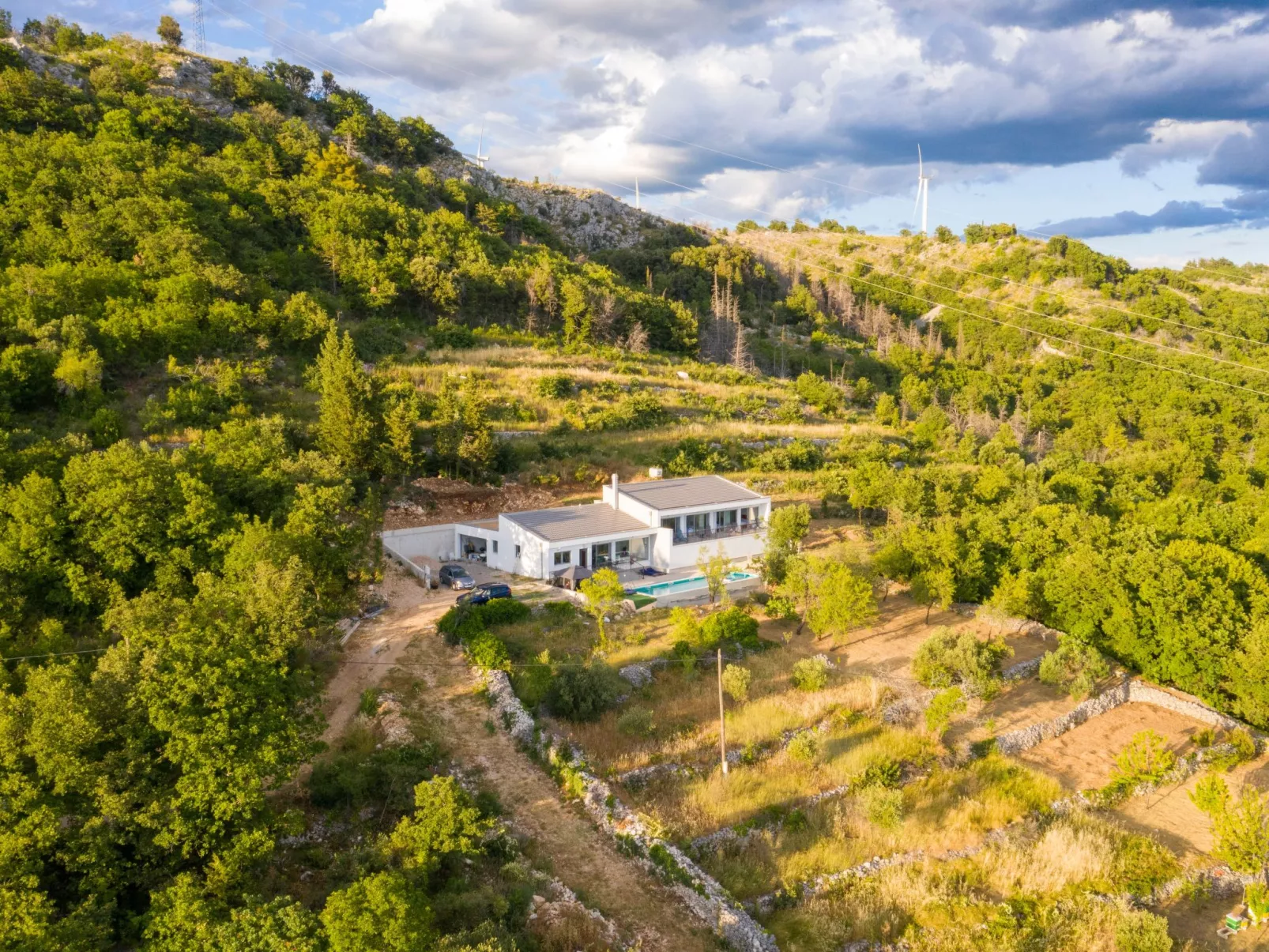 La Finca OliveTree-Outside