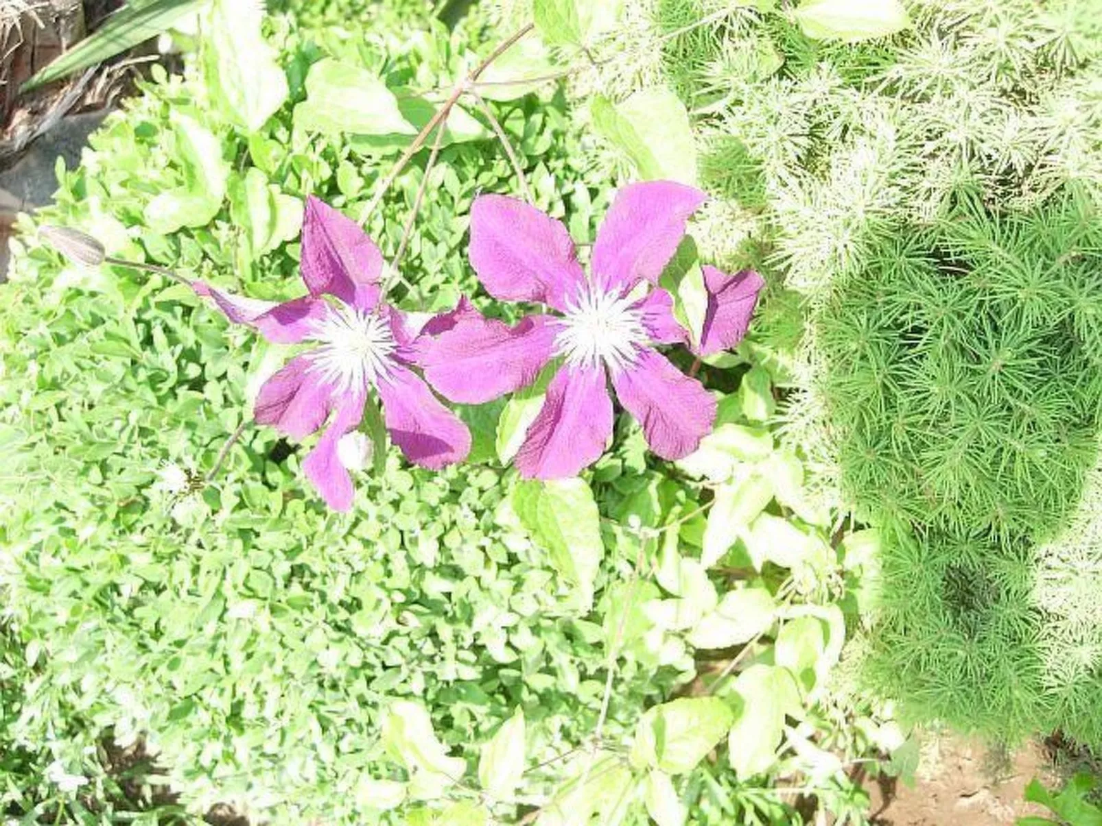 Hübsche Wohnung für zwei-Image-tags.info