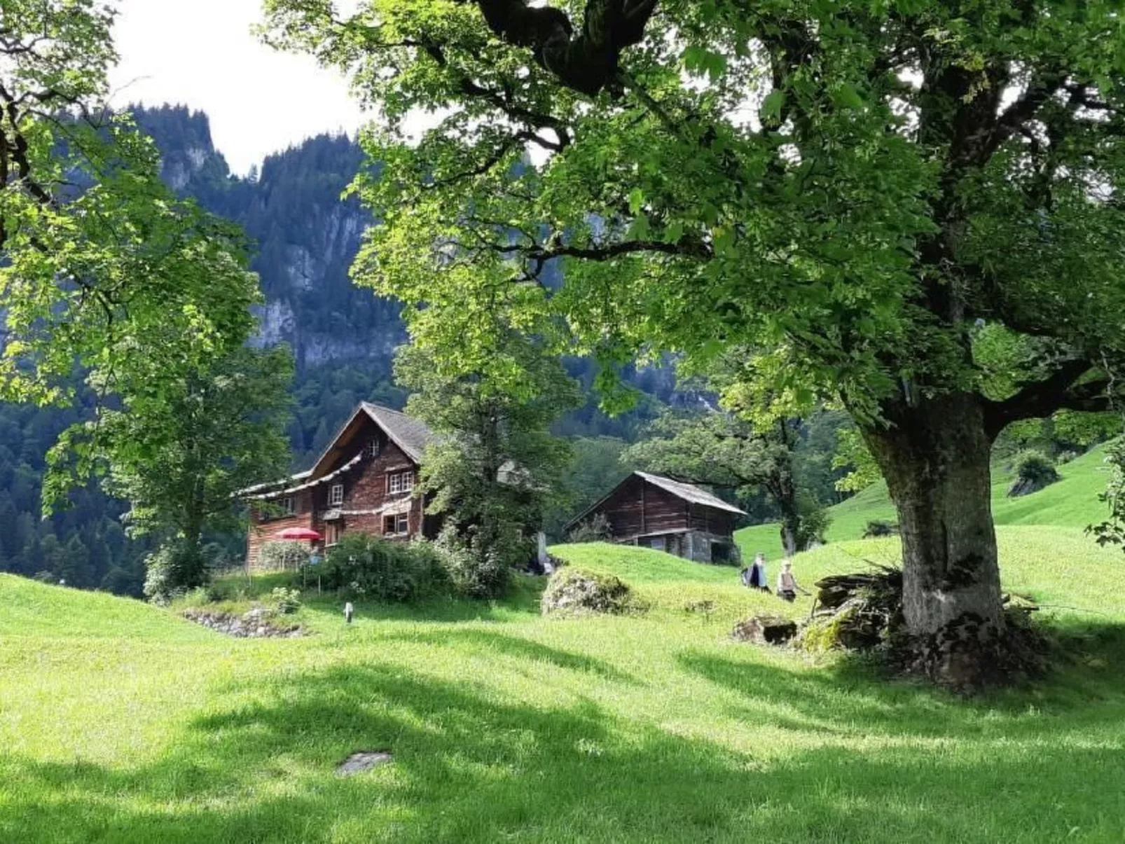 Rietberg 8 Braunwald-Draußen