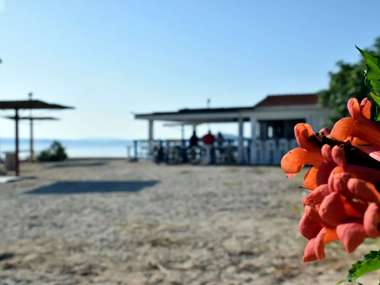 In Dobropoljana mit Privatem Pool-Outside