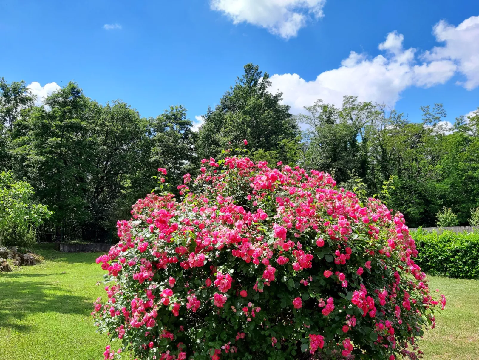 Romantische Villa mit weitläufigem Garten-Outside