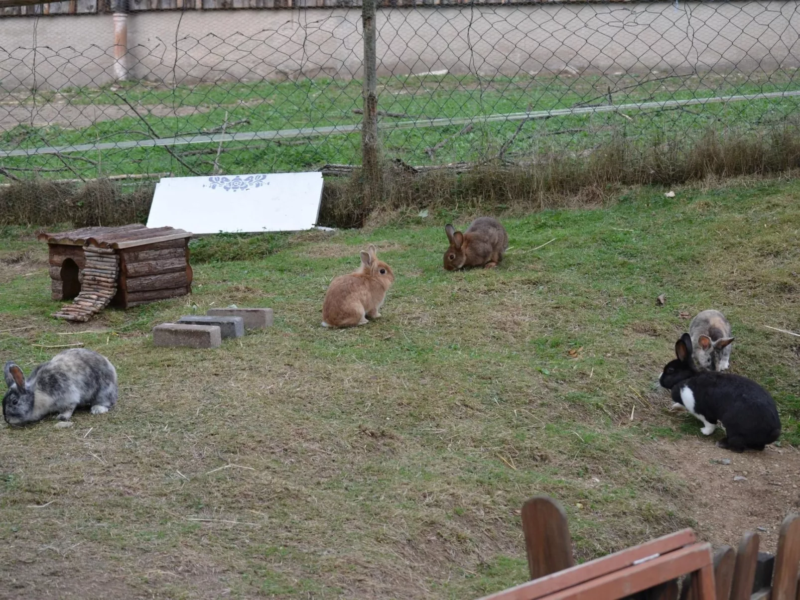 Großzügiges Ferienstudio für zwei Personen-Draußen