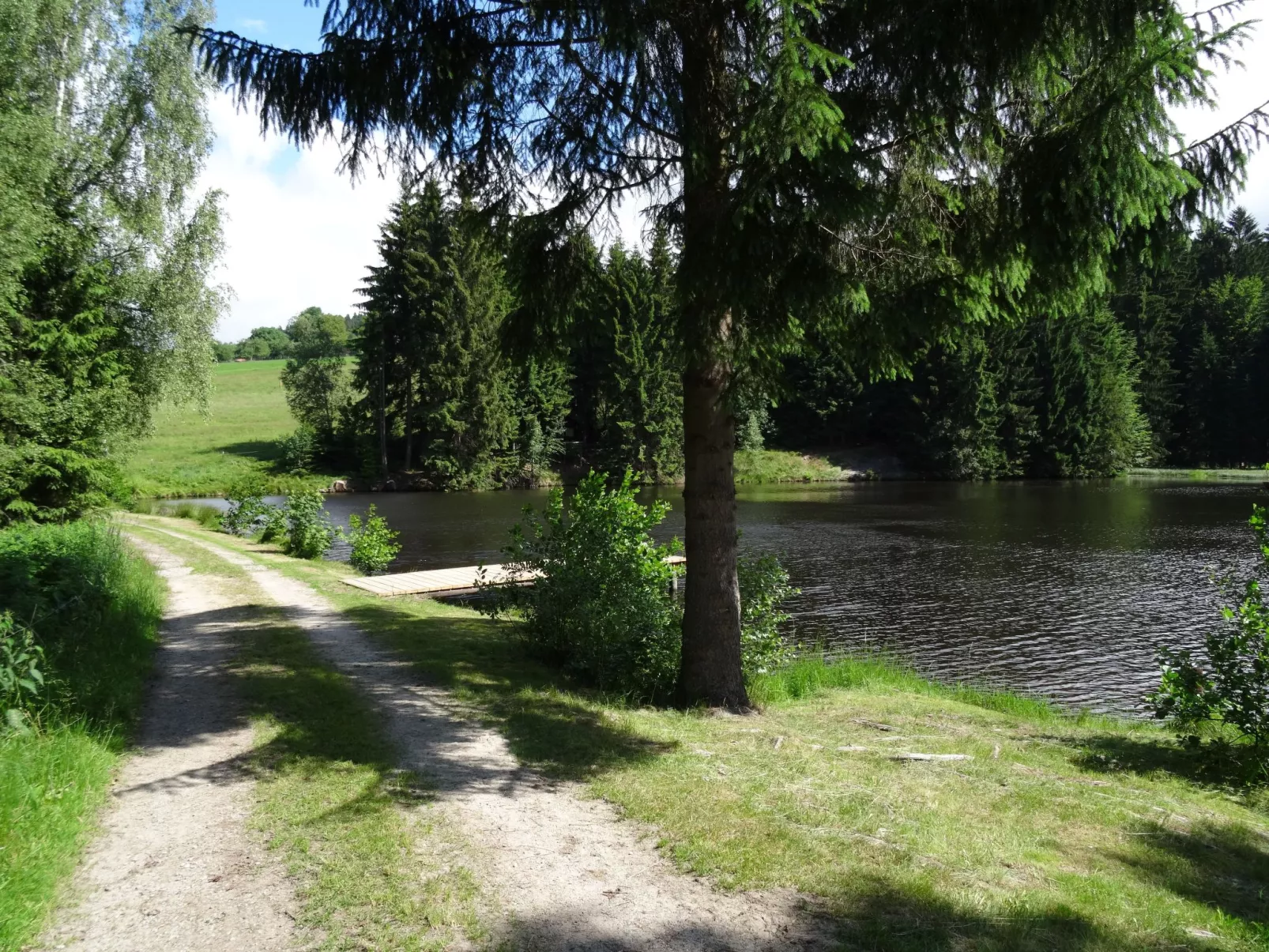 Wohnung Dreisessel im Bayerischen Wald-Draußen