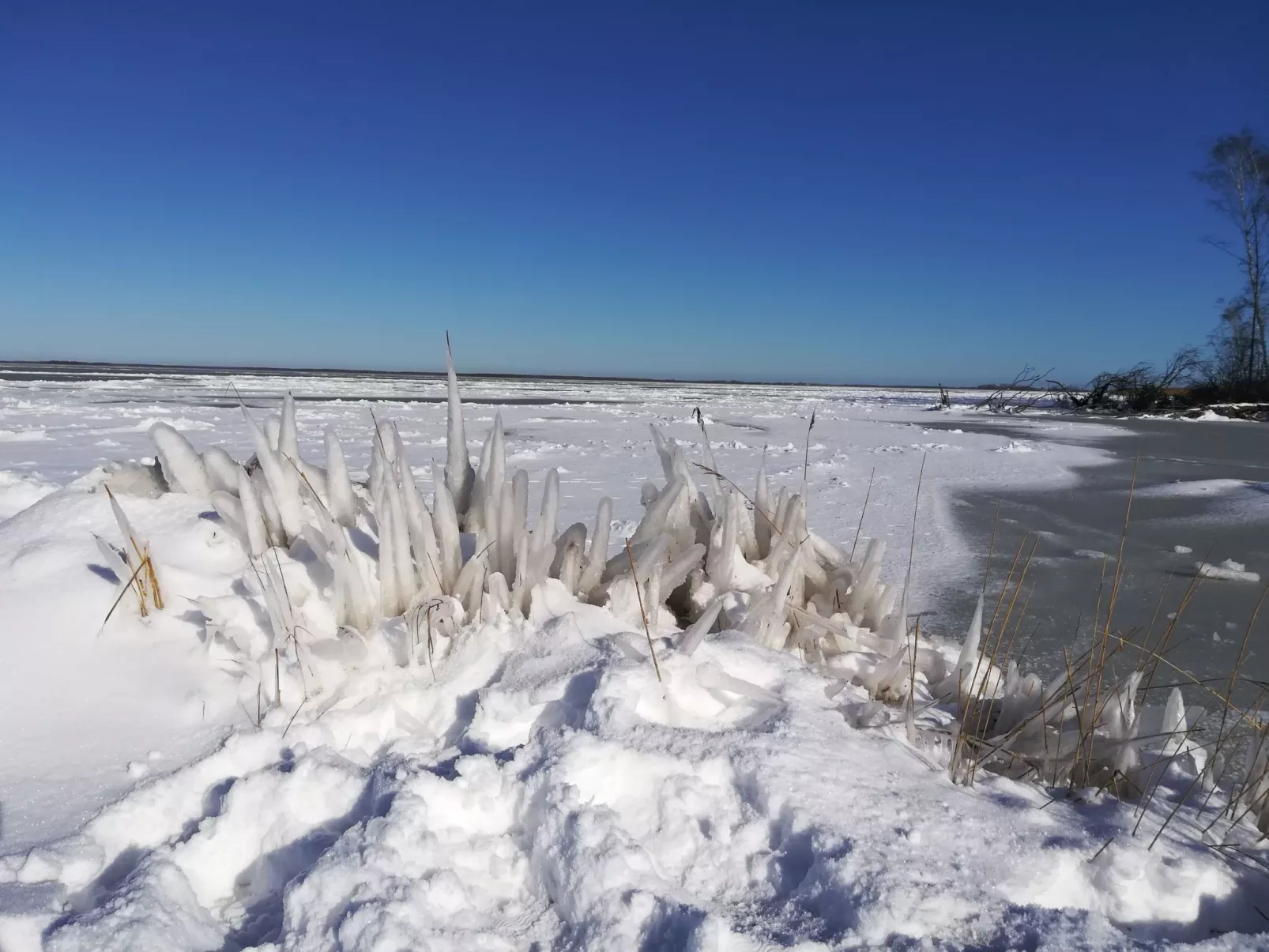 Erholung pur im Ferienhaus KIEK IN 95-Dehors